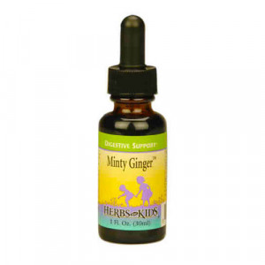 Herbs For Kids Minty Ginger Blend 1 fl.oz