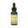 Herbs For Kids  Echinacea - GoldenRoot Orange 1 fl.oz
