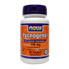 Now Pycnogenol (100 mg.) - 60 vcaps